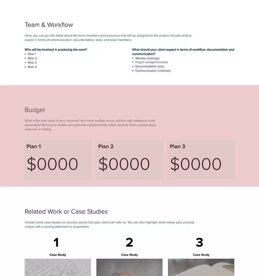 Consulting Services Proposal Template Budget Budget