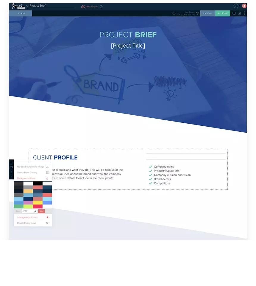 Project Brief Example