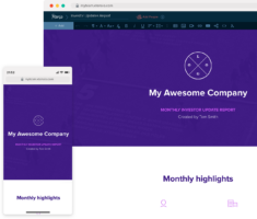 Investor Updates Report Template