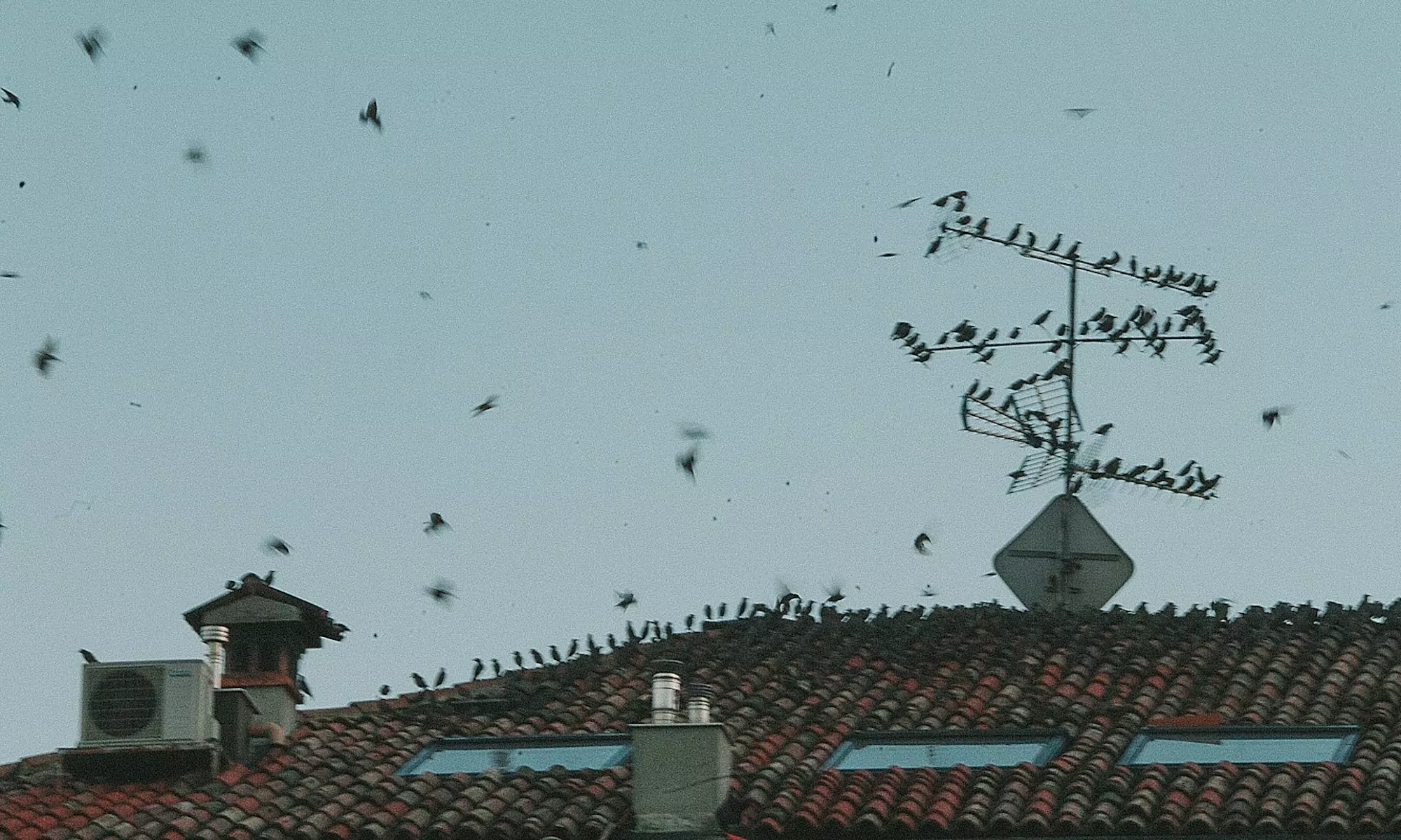 Best Channels To Reach Your Audience | How To Segment Your Audience With User Personas